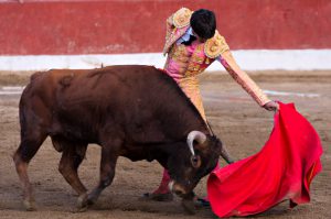 Bullfighter