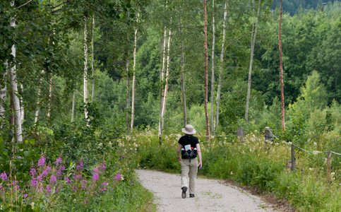 Pilegrimsruten til Santiago de Compostela